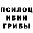 Псилоцибиновые грибы прущие грибы Aibol Fazioldin