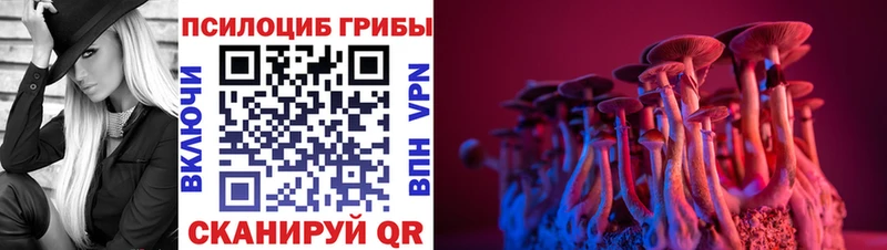 omg зеркало  площадка клад  Псилоцибиновые грибы ЛСД  где купить наркоту  Дубовка 